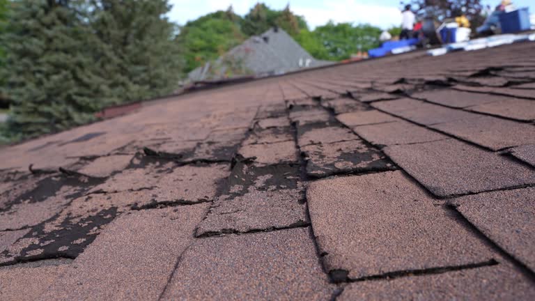Best Sheet Metal Roofing  in Calera, OK